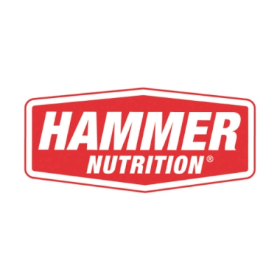 Hammer logó