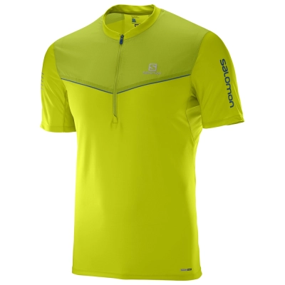 Salomon Fast Wing HZ SS Tee kép