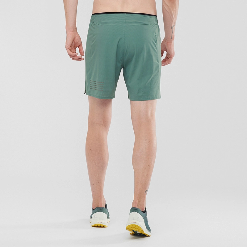 Salomon Sense Short