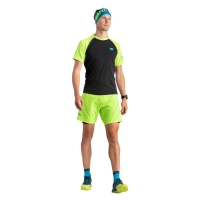Dynafit Alpine Pro M 2/1 Shorts - férfi (2091) thumbnail