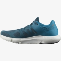 Salomon Predict 2 - férfi (Mallard Blue/Barrier Reef/Black) thumbnail