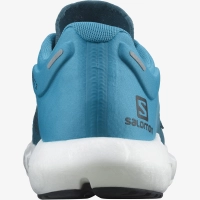 Salomon Predict 2 - férfi (Mallard Blue/Barrier Reef/Black) thumbnail