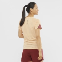 Salomon Cross Run SS Tee W - női (Apricot Ice/Heather/Cabernet) thumbnail