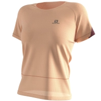 Salomon Cross Run SS Tee W - női (Apricot Ice/Heather/Cabernet) thumbnail