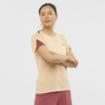 Salomon Cross Run SS Tee W - női (Apricot Ice/Heather/Cabernet) thumbnail