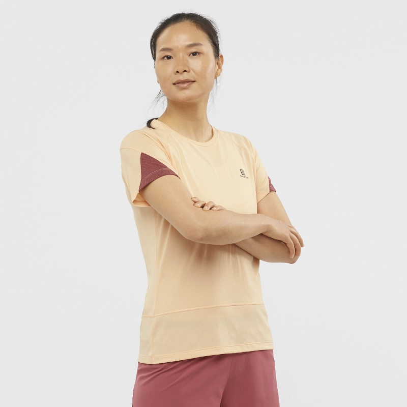 Salomon Cross Run SS Tee W - női (Apricot Ice/Heather/Cabernet)