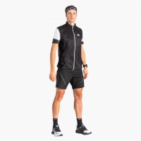Dynafit Alpine Pro M 2/1 Shorts - Black Out - férfi (0912) thumbnail