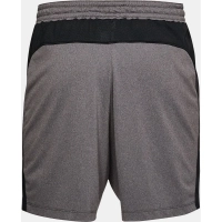 Under Armour Raid 2.0 Short 7in thumbnail