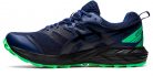 Asics Gel-Sonoma 6 GTX férfi futócipő